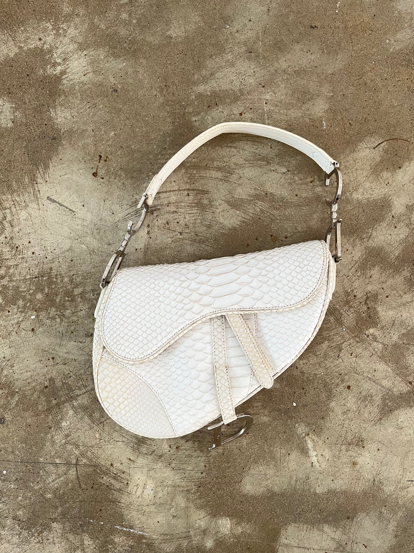 DIOR SNAKE SKIN SADDLE BAG