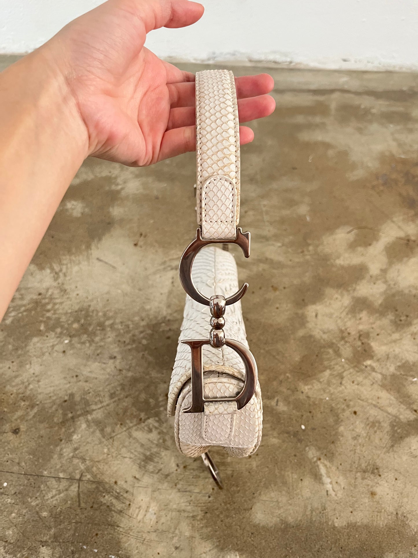 DIOR SNAKE SKIN SADDLE BAG