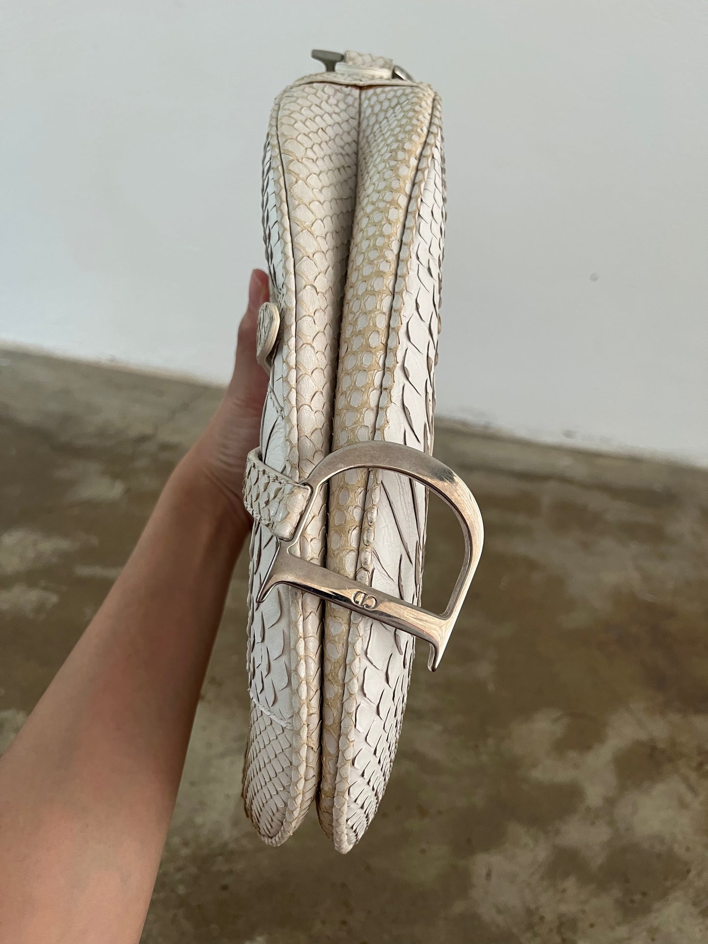 DIOR SNAKE SKIN SADDLE BAG