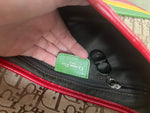 DIOR RASTA SADDLE BAG
