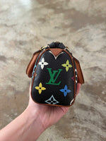 LOUIS VUITTON MURAKAMI SPEEDY MINI