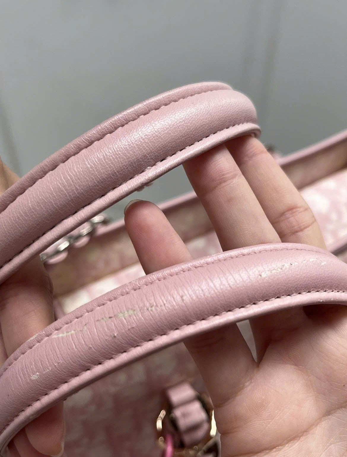 DIOR PINK TROTTER ROMANTIQUE TOTE BAG