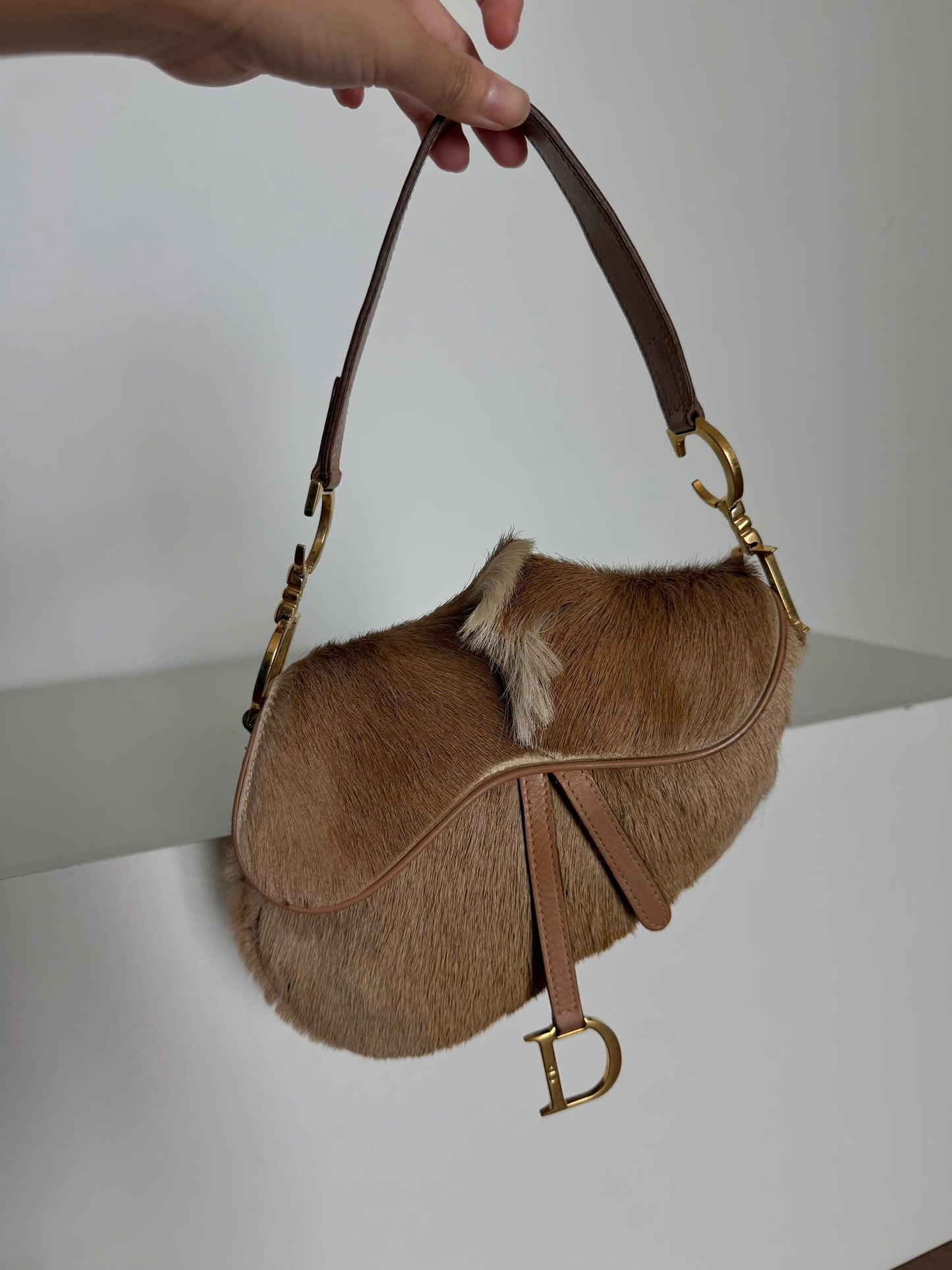 DIOR MOHAWK SADDLE BAG