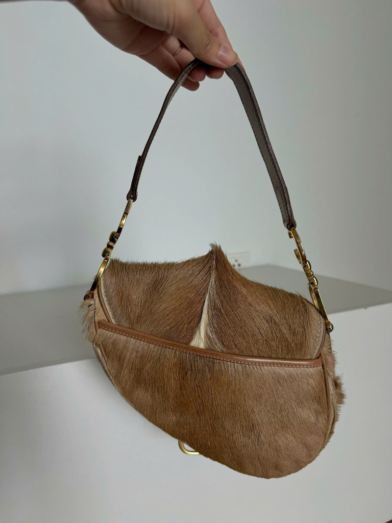 DIOR MOHAWK SADDLE BAG